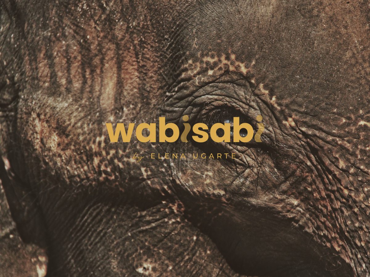 proyecto-wabisabi
